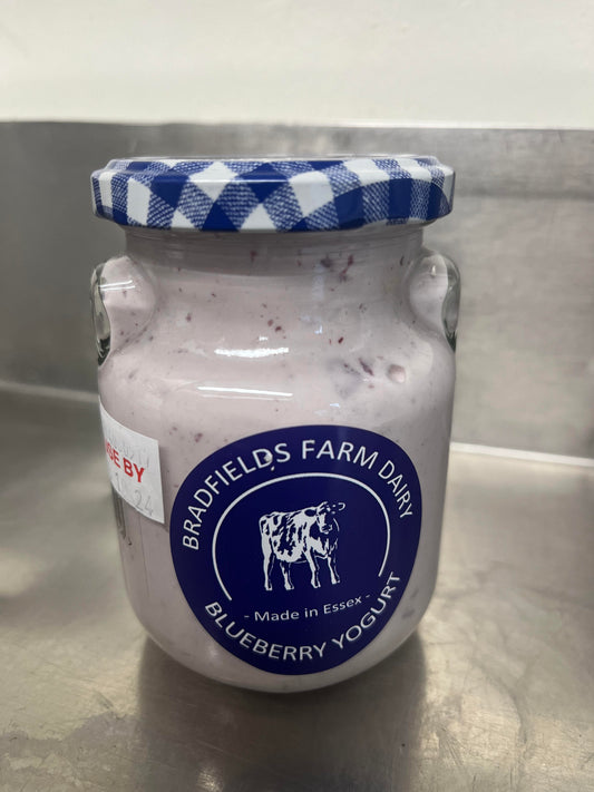 Blueberry Yogurt - 280ml